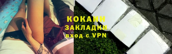 соль ск Лиски