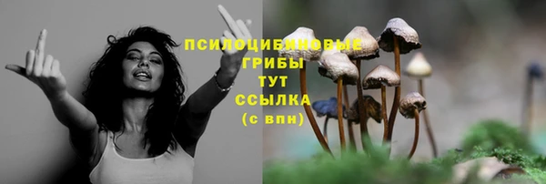 соль ск Лиски