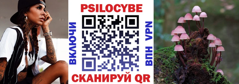Купить где  Егорьевск  Псилоцибиновые грибы ЛСД 