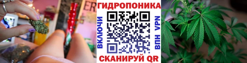 МАРИХУАНА AK-47  Купить закладки  Егорьевск 